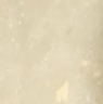 Verde Luz